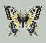 (image for) Yellow Swallowtail
